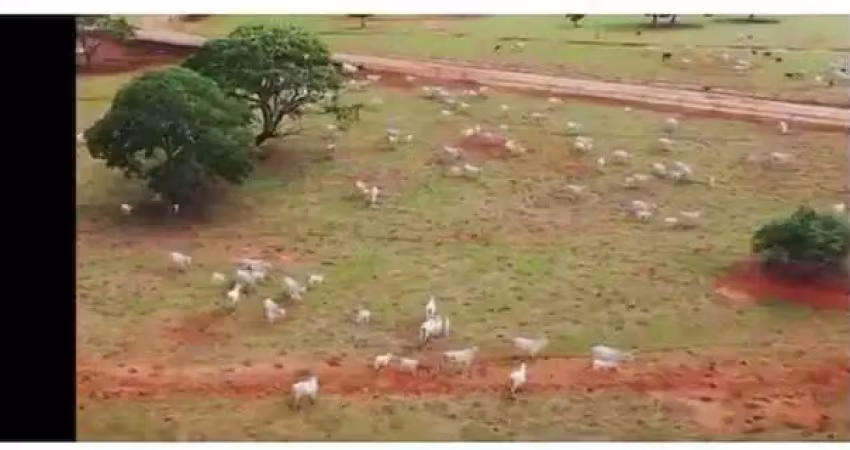 Chácara / sítio à venda na Área Rural, Zona Rural, Unaí