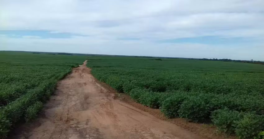 Chácara / sítio à venda na Área Rural entre Canarana e Querência, Zona Rural, Canarana