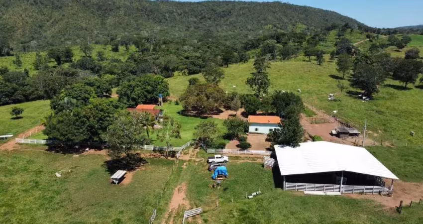 Chácara / sítio à venda na Área Rural de Santa Cruz de Goiás, Zona Rural, Santa Cruz de Goiás