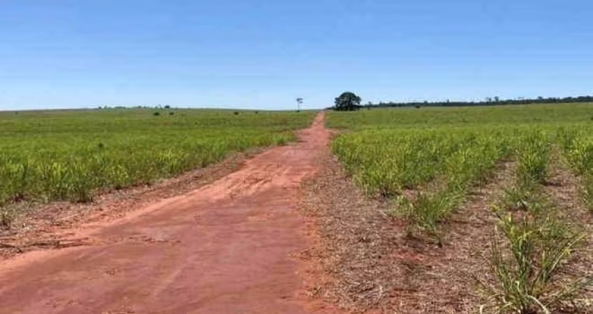 Fazenda na Área Rural de Teodoro Sampaio