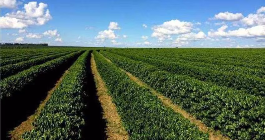 Fazenda à venda, Área Rural de Teófilo Otoni - Teófilo Otoni/MG