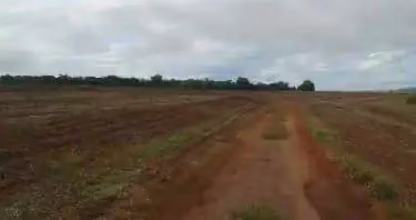 Chácara / sítio à venda na Fazenda Município de Monte Alegra, Zona Rural, Monte Alegre de Minas