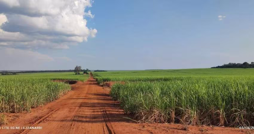 Fazenda de Lavoura em Chapadão do Céu - GO