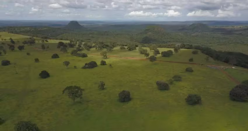 Fazenda em pecuária em chapadão do céu - go: ótima oportunidade!