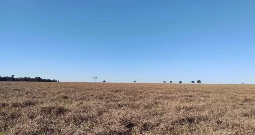 Fazenda de pecuária com aptidão para lavoura em Paraíso das Águas - MS