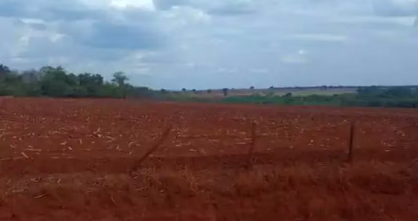 Oportunidade: fazenda dupla aptidão de 2.947,56 hectares em flores de goiás