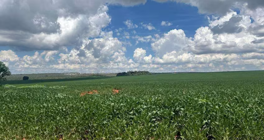 Fazenda de 1.714 hectares em Ocidental-GO próxima a Luziânia