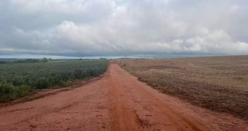 Grande fazenda na área rural entre uberlândia a monte alegre - mg
