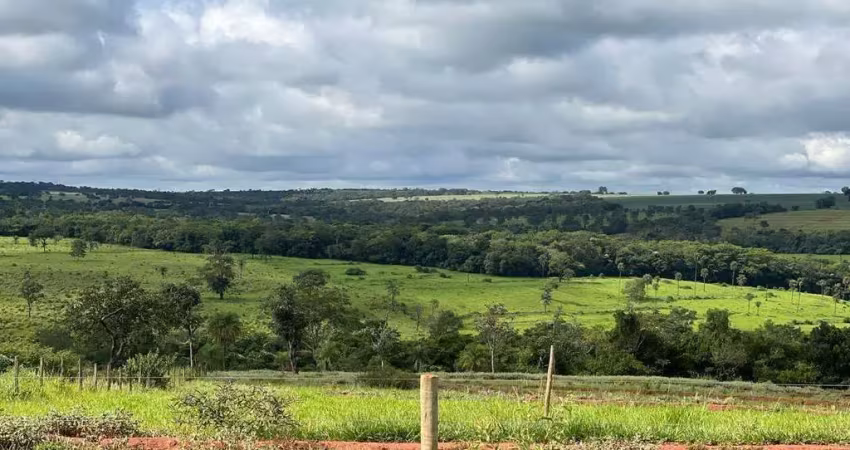 Grande oportunidade, fazenda com dupla aptidão na área rural de monte alegre - mg