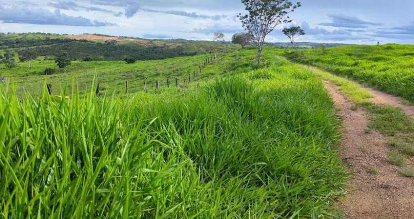 Fazenda a venda na area rural de campo alegre - GO.
