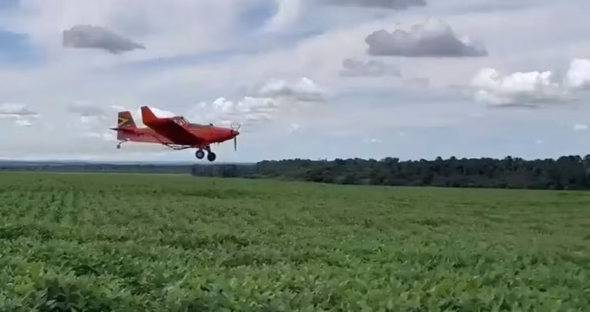 Excelente fazenda com dupla aptidão a venda na região do tocantins - to