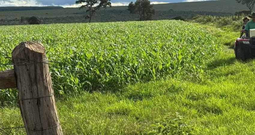 Grande fazenda a venda na área rural de Brasilândia de Minas - MG