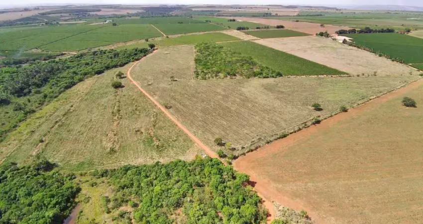 Chácara / sítio com 1 quarto à venda na Área Rural, Área Rural de Araguari, Araguari