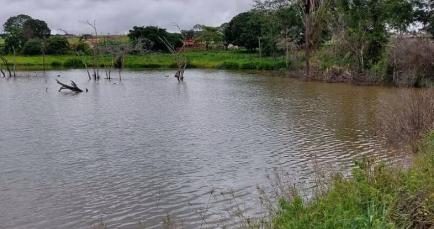 Fazenda de dupla aptidao a venda na área rural do município de Lagamar de Patos - MG, Próximo a Coromandel - MG