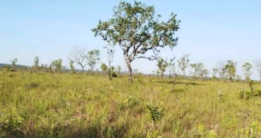 Fazenda à venda, AREA RURA DE PALMAS TO - PALMAS/TO