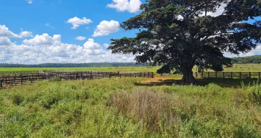 Fazenda à venda, área rural de paranaiguara - paranaiguara/go