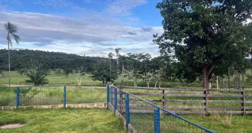 Fazenda à venda, area rural de gurinhata - gurinhata/mg