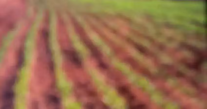 Fazenda à venda, area rura de palmas to - palmas/to