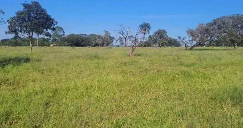Fazenda à venda, área rural de uberlândia - uberlândia/mg