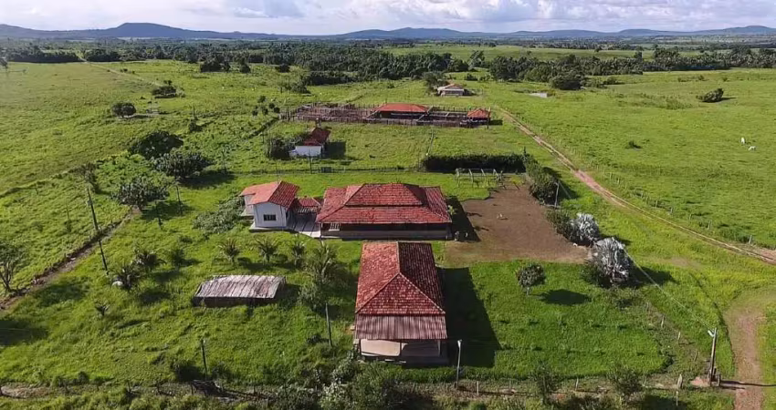 Fazenda à venda, area rural de araguana-to - araguanã/to