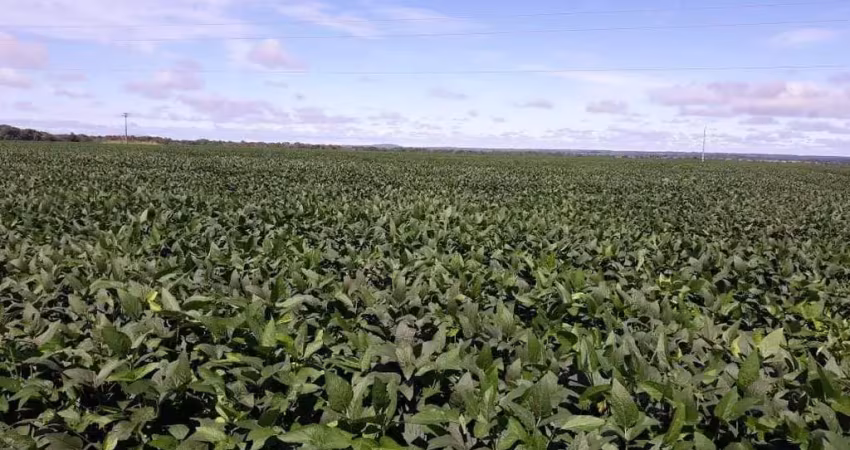 Fazenda à venda, area rural de porangatu - porangatu/go