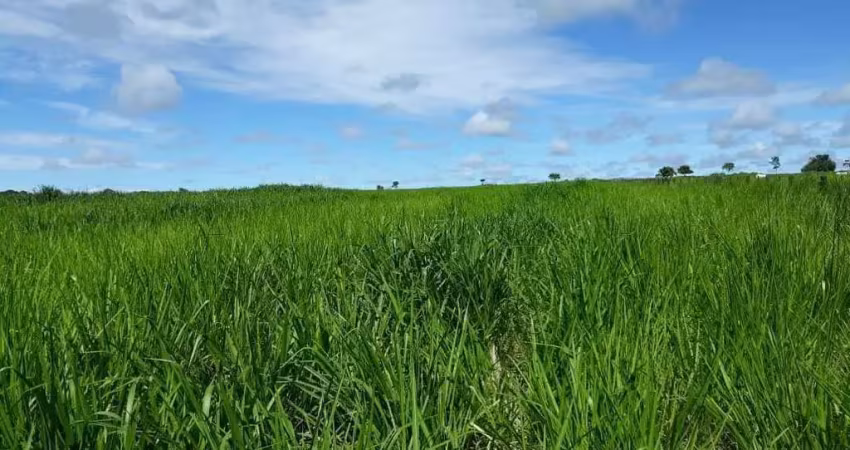 Fazenda à venda, area rural de ituiutaba - ituiutaba/mg