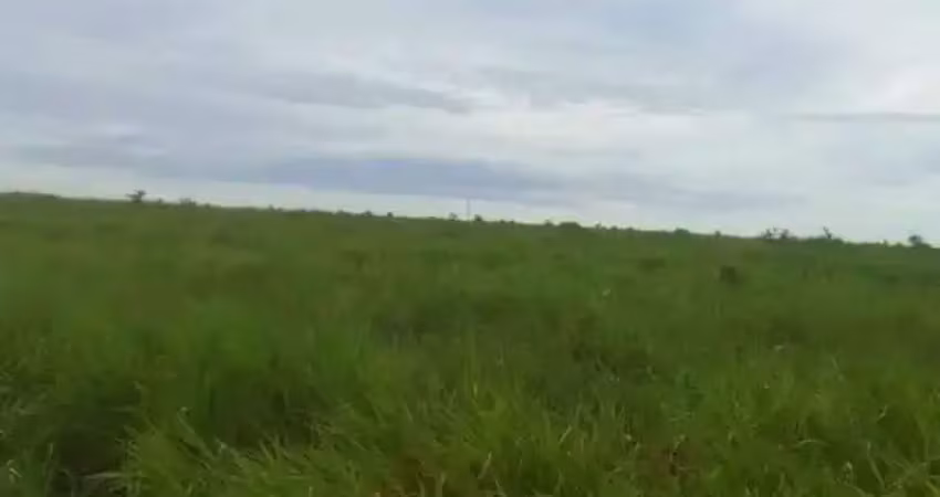 Fazenda à venda, arera rural de centenario - to - centenário/to