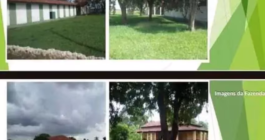 Fazenda à venda, area rural sao felix do araguaia - mt - são félix do araguaia/mt