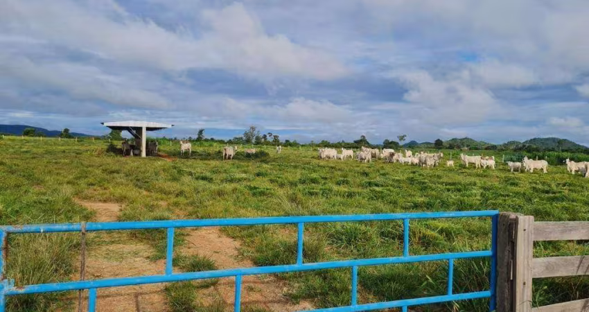 Fazenda à venda, Área Rural de Vila Rica - MT - Vila Rica/MT