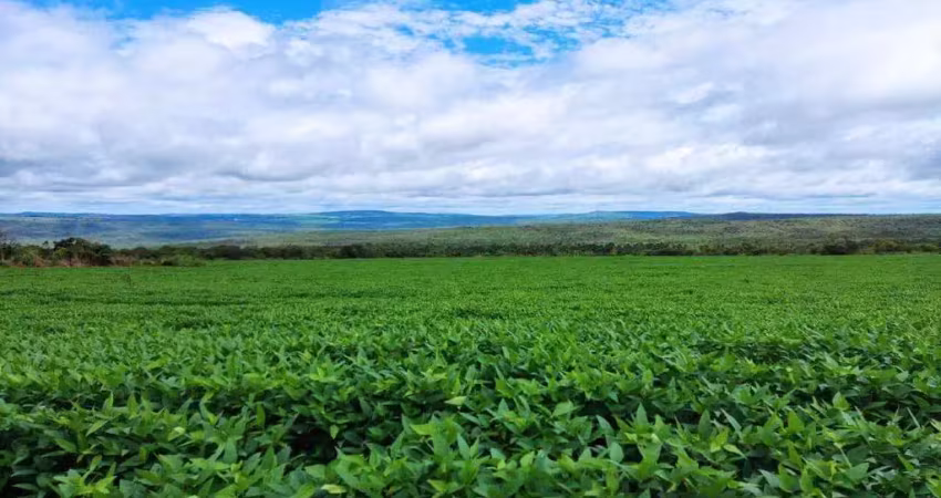 Fazenda à venda, area rural de doverlandia - go - doverlândia/go