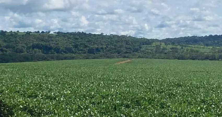 Fazenda à venda, área rural de mineiros - mineiros/go
