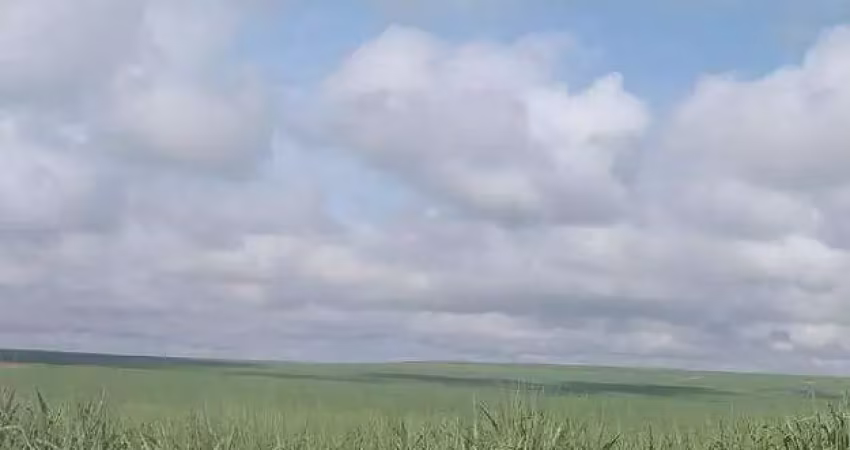 Fazenda à venda, área rural de mineiros - mineiros/go