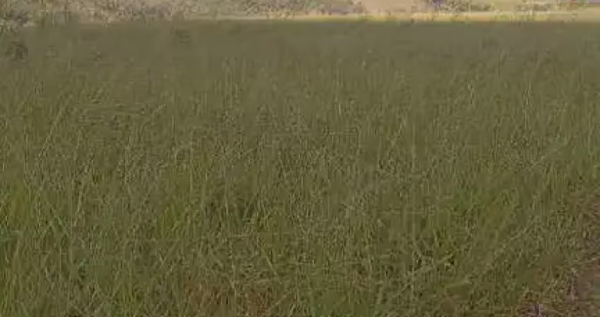 Fazenda à venda, área rural de niquelândia - niquelândia/go