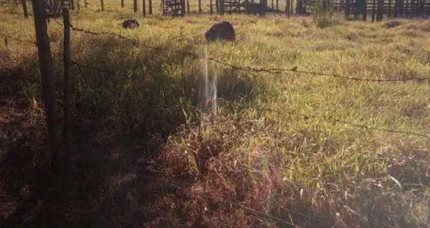 Fazenda à venda, área rural de campo alegre de goiás - campo alegre de goias/go