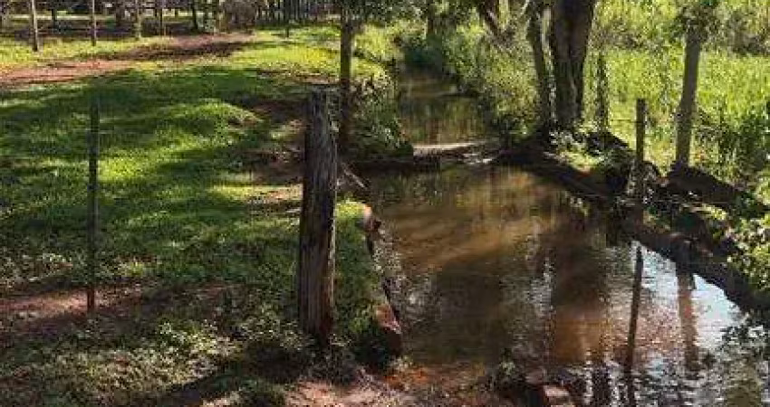 Fazenda à venda, área rural de uberlândia - uberlândia/mg