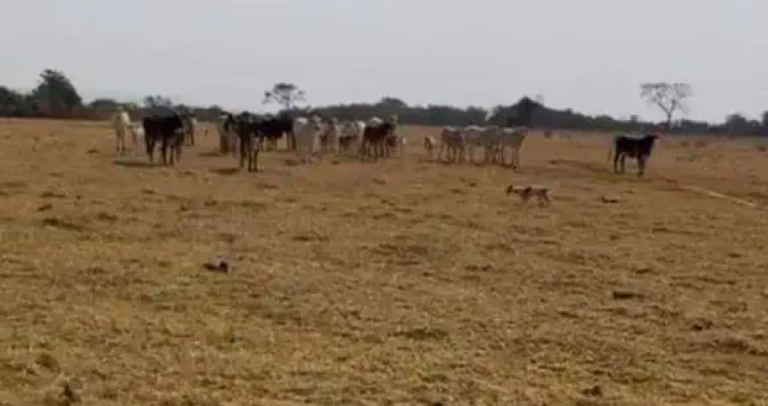 Chácara / sítio à venda na Zona RURAL, Centro, Guarda-Mor