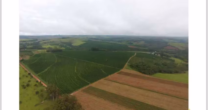 Fazenda à venda, area rural de serra do salitre - mg - serra do salitre/mg