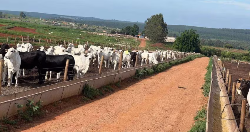 Fazenda à venda, ÁREA RURAL DE UBERLÂNDIA - Uberlândia/MG