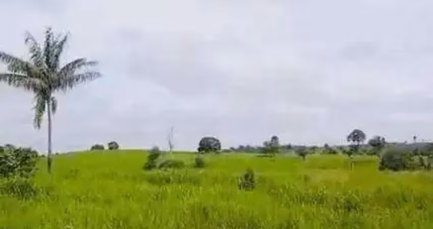 Fazenda à venda, area rural de maraba - pa - marabá/pa