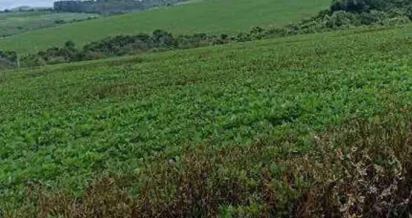 Chácara / sítio à venda na Zona RURAL, Zona Rural, Ibiá