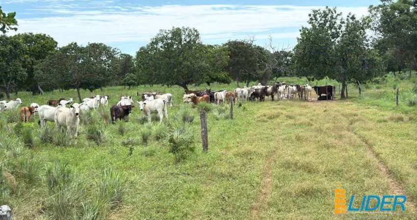 Fazenda à venda, area rural de parana-to - paranã/to