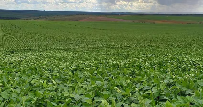 Fazenda à venda, area rural de cristalina - cristalina/go