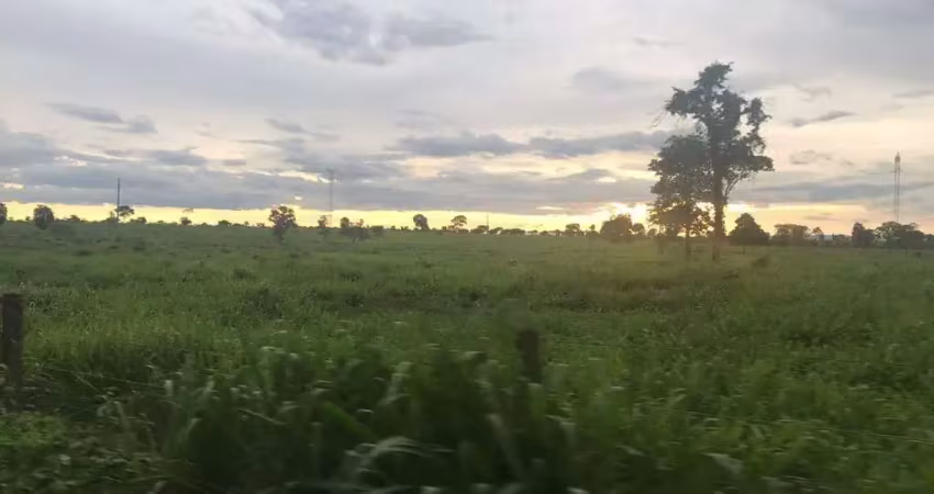 Fazenda à venda, area rural de flores de goias - go - flores de goiás/go