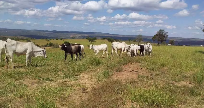 Fazenda à venda, area rural de sao gonçalo do abaete - mg - sao goncalo do abaete/mg