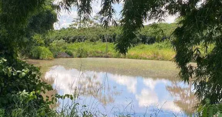 Fazenda à venda, área rural de monte carmelo - monte carmelo/mg