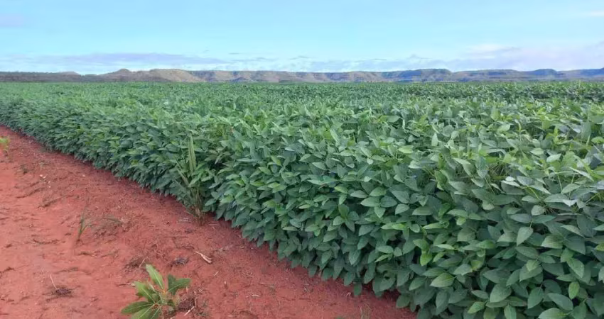 Fazenda à venda, area rural de balsas - ma - balsas/ma