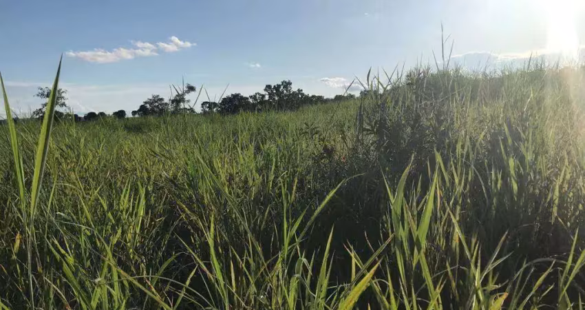 Fazenda à venda, area rural de minaçu - go - minaçu/go