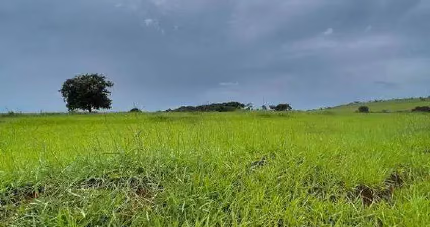 Fazenda à venda, área rural de uberlândia - uberlândia/mg