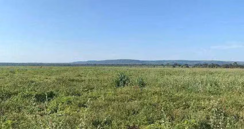 Fazenda à venda, area rural de riachinho - mg - riachinho/mg