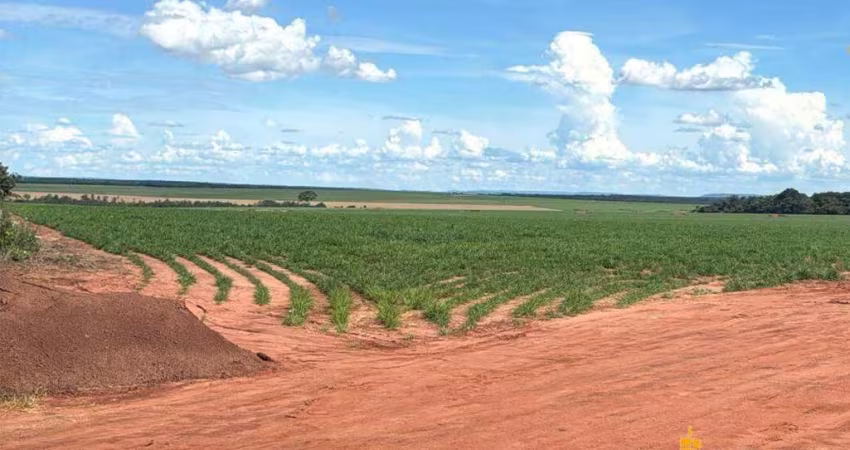 Fazenda à venda, Área Rural de Rio Verde - RIO VERDE/GO
